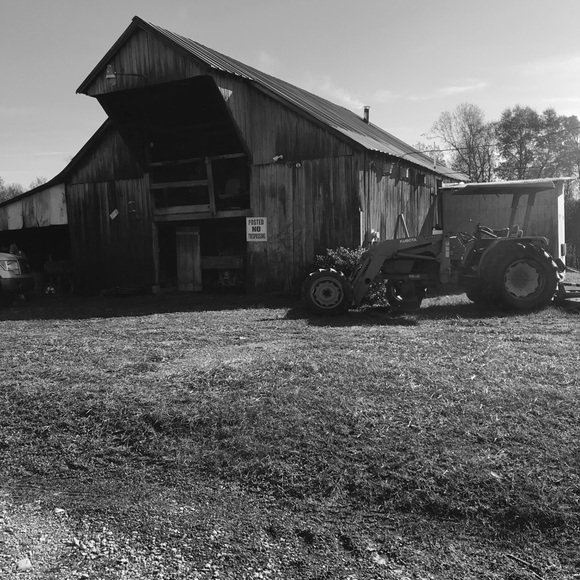 Meet your Posher, Dora - Picture 1 of 1